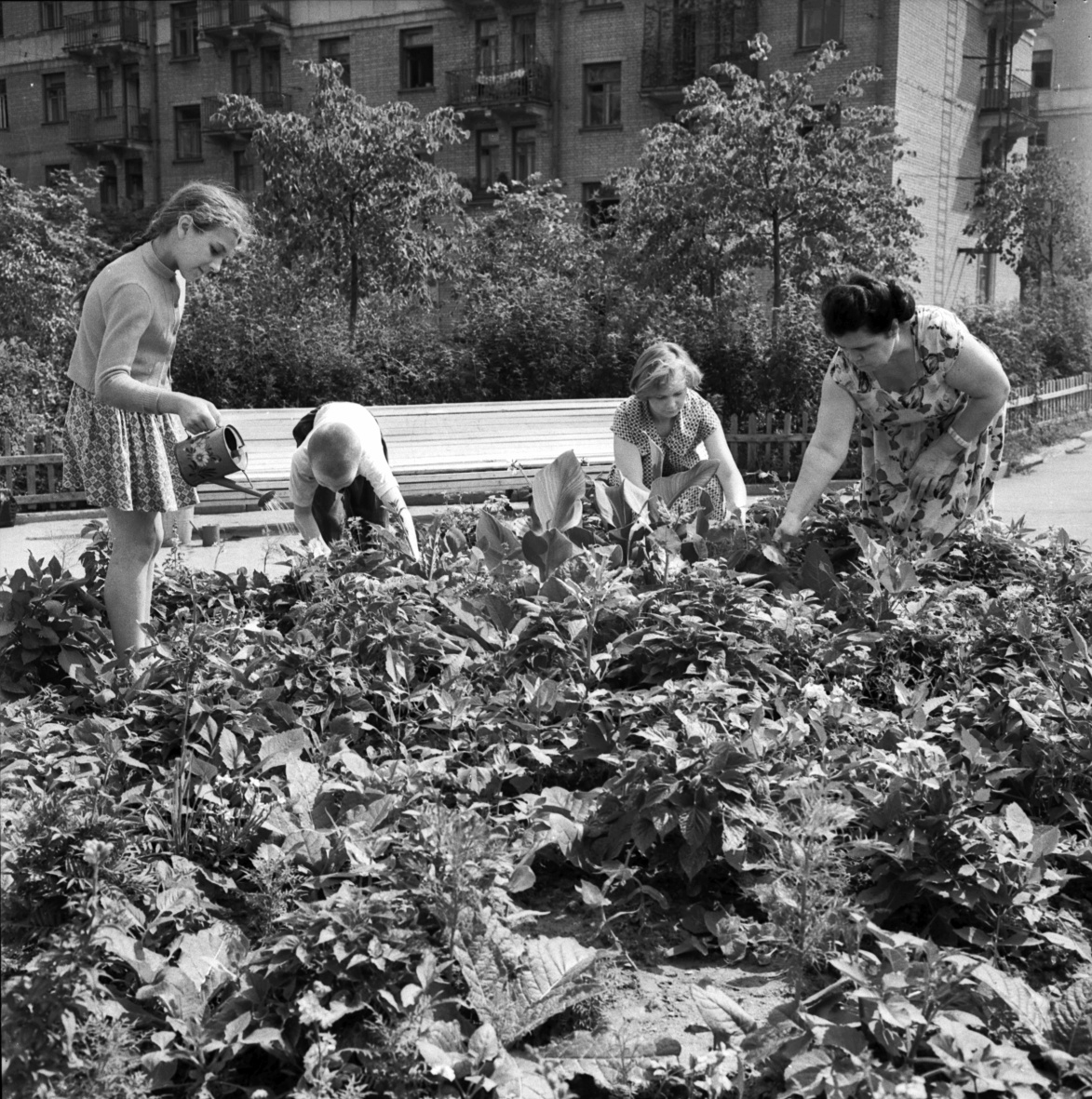Главархив рассказывает, почему в Москве начали сажать многолетние цветы 1