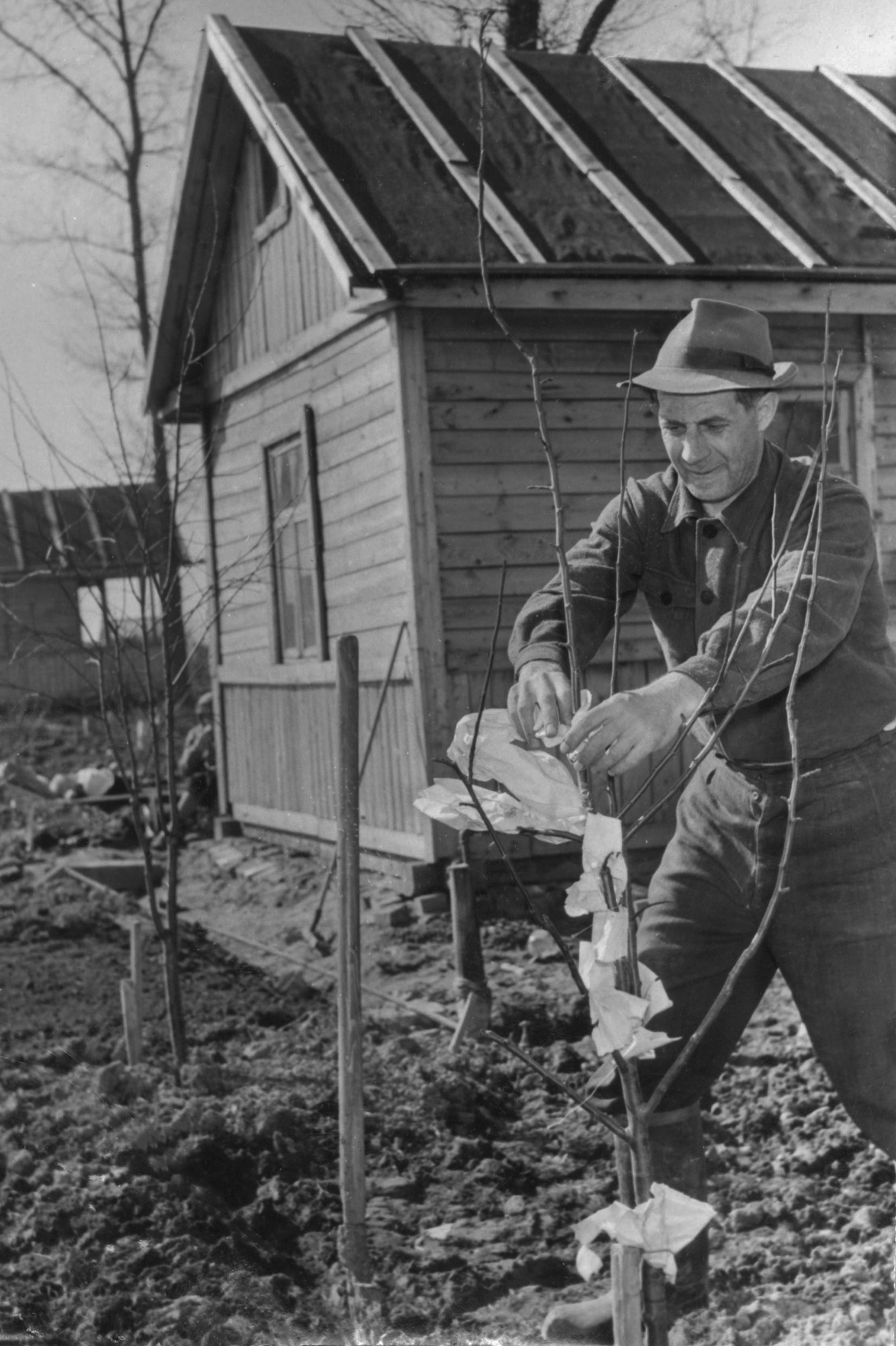 как в 1950 году в Москве развивали огородничество и садоводство