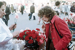 Нарциссы, гиацинты и гвоздики: Главархив Москвы – о том, как в 1970 году увеличили поставку цветов для населения