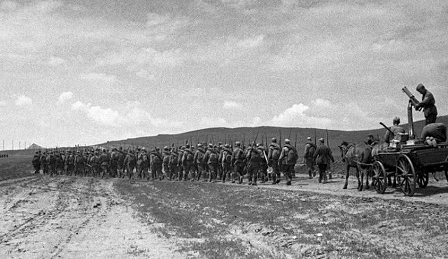 80 лет Победы: Главархив открыл онлайн-фотовыставку «На фронтах Великой Отечественной войны»