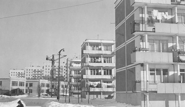 Главархив рассказал, как на карте появился город Зеленоград